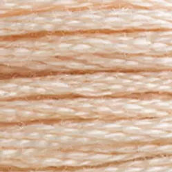 DMC 3774 Six-Strand Floss - Premium Thread & Floss from DMC® - Just $0.66! Shop now at Crossed Hearts Needlework & Design