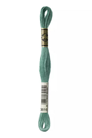 DMC 3816 Six-Strand Floss - Premium Thread & Floss from DMC® - Just $0.66! Shop now at Crossed Hearts Needlework & Design