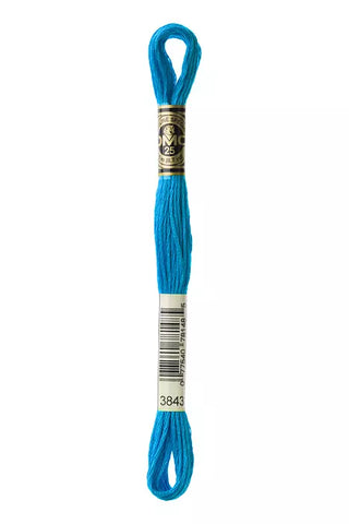 DMC 3843 Six-Strand Floss - Premium Thread & Floss from DMC® - Just $0.66! Shop now at Crossed Hearts Needlework & Design
