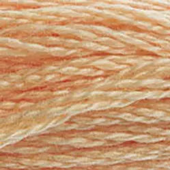 DMC 3856 Six-Strand Floss - Premium Thread & Floss from DMC® - Just $0.66! Shop now at Crossed Hearts Needlework & Design