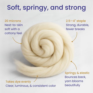 Rambouillet Wool Top