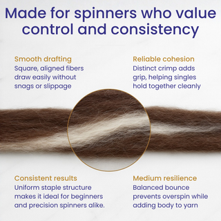 Yin Yang Corriedale Cross Combed Wool Top – Natural Brown and Ecru Blend (8 oz)