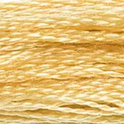 DMC 0676 Six-Strand Floss - Premium Thread & Floss from DMC® - Just $0.66! Shop now at Crossed Hearts Needlework & Design