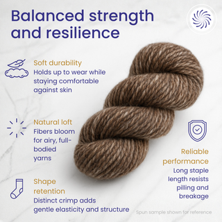 Yin Yang Corriedale Cross Combed Wool Top – Natural Brown and Ecru Blend (8 oz)