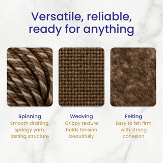 Yin Yang Corriedale Cross Combed Wool Top – Natural Brown and Ecru Blend (8 oz)