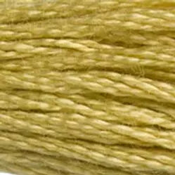 DMC 0834 Six-Strand Floss - Premium Thread & Floss from DMC® - Just $0.66! Shop now at Crossed Hearts Needlework & Design