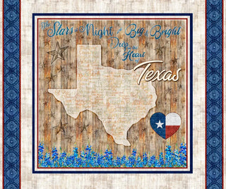 ATXSH Minky Texas Map Panel 44"/45" Fabric Per Yard