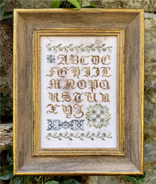 A framed cross-stitch sampler featuring the alphabet in ornate brown lettering with floral and scroll motifs in muted green, blue, and gold tones, set within a rustic wooden frame.
