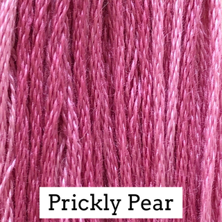 Close-up of pink thread labeled 'Prickly Pear'
