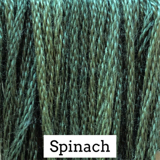 Close-up of embroidery floss with a label indicating the color 'Spinach'.