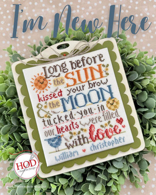 I'm New Here | Cross Stitch Pattern by Hands On Design