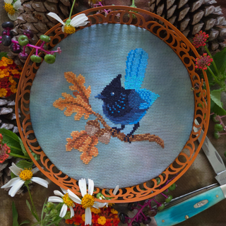 Steller's Jay | Cross Stitch Pattern by BAD Stitch