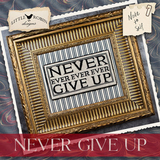 Never Give Up | Cross Stitch Pattern by Little Robin Designs