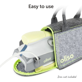 Small Carry Bag - pistachio