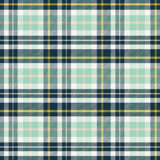 RJR Crazy For Teal Clad In Plaid
