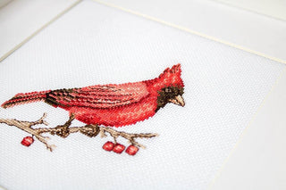 Cardinal B1156L Counted Cross-Stitch Kit