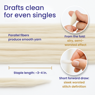 Superfine Merino Wool | 18.5 Micron Combed Top