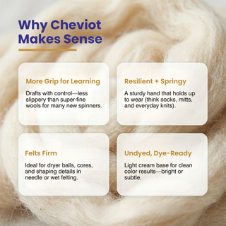 Undyed Cheviot Combed Wool Top