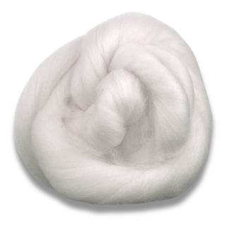 Polwarth Wool Top